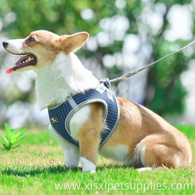 Wholesale Dog Adjustable Harness Polyester Back Clip Dog Harness
